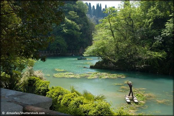 A river that has weeds