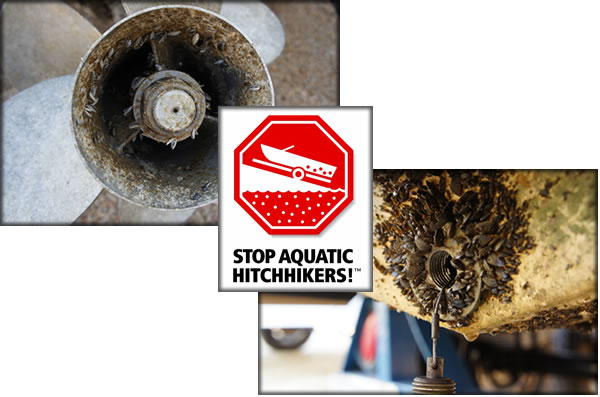 STOP AQUATIC HITCHHIKERS!