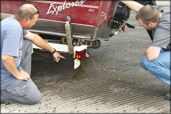 inspecting weeds hanging off a boat trailer