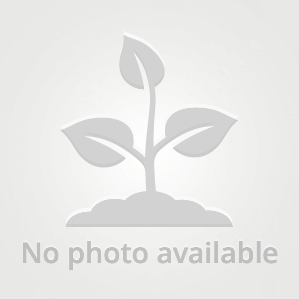 Product Image-4-0 Packet 1